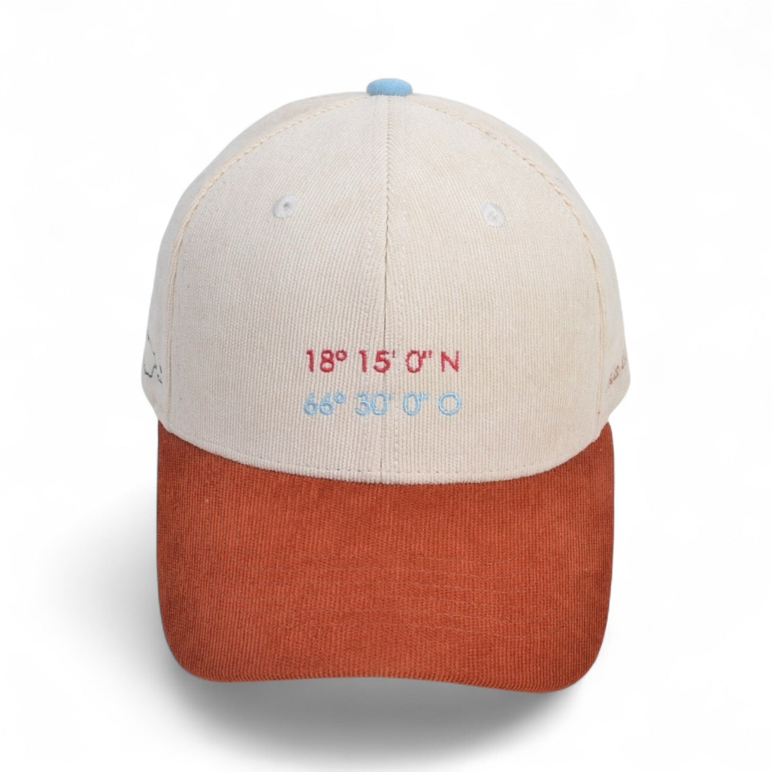 DLAB “Naranja Ladrillo” 6 Panel Curved Brim SnapBack “Bori” Edition Vol 2
