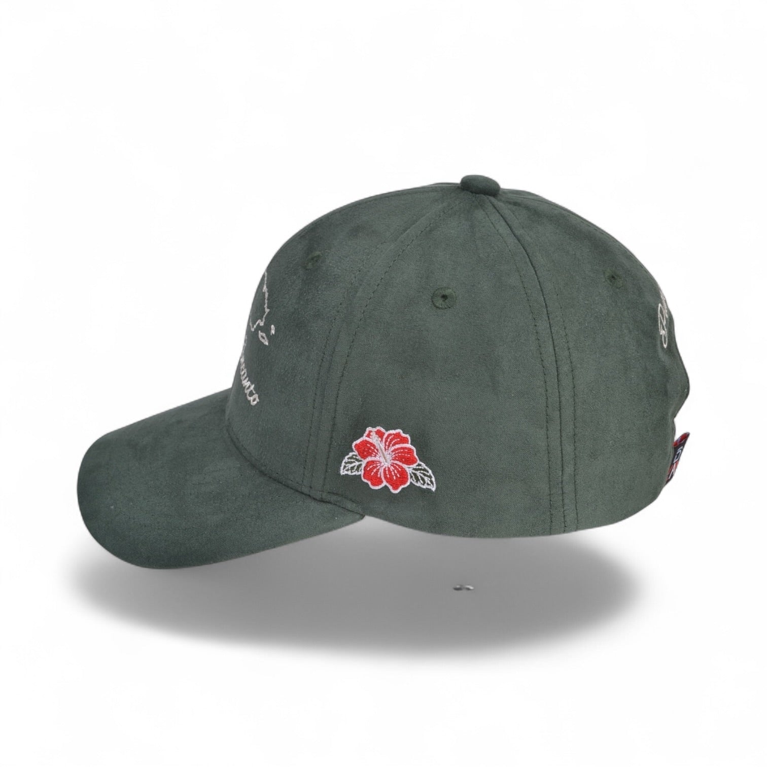 DLAB “Verde Monte” 6 Panel Curved Brim SnapBack “Bori” Edition Vol 2